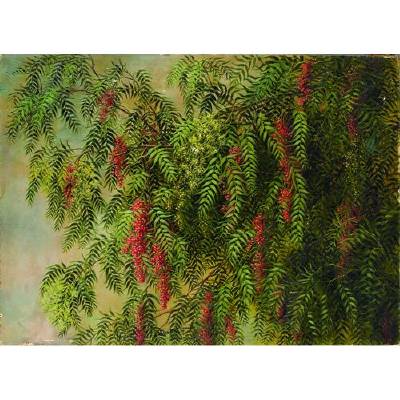 Sample artwork by Ellen Frances Burpee Farr (1840 - 1907), known for missions, pepper trees and still life painting - View similar artists and auction records