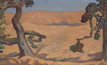 Golden Hills and Shadows