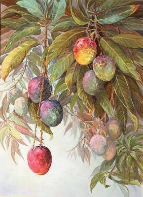 Maui Mangos