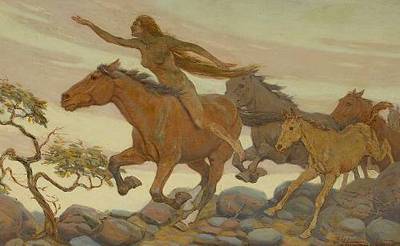 Wild Mustangs