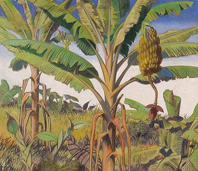 Tropical Allure