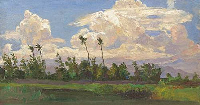 Hawaiian Landscape