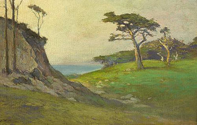Monterey Cypress