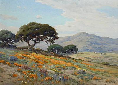 California Lupines and Poppies