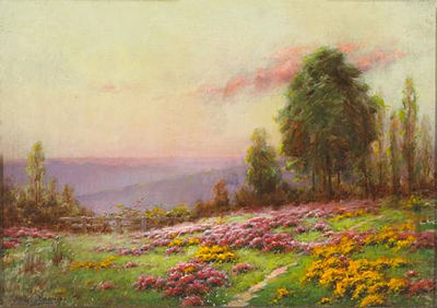 A summer meadow
