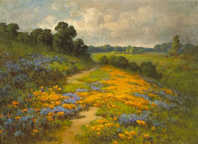 California Poppies, Sierra Foothills