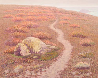 Sunlit Path and Golden Wildflowers on the Bluffs