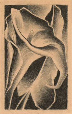 Calla Lily