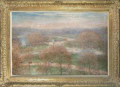Cherry Trees in Central Park