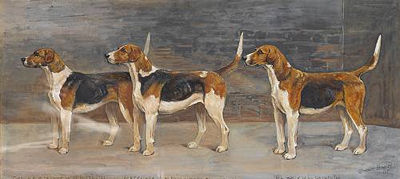 Three hounds-Cheshire Pleasure; Prettylass; Plausible