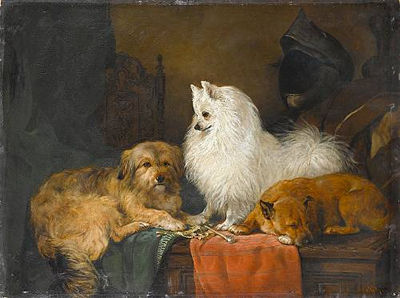 A Volpino Italiano and other dogs