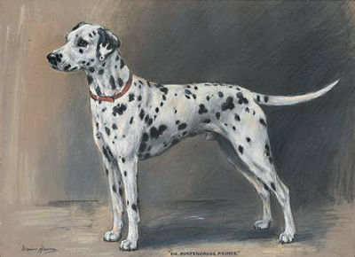 Sample artwork by Marion Roger Hamilton Harvey (1886 - 1971), known for animal portrait painting (dogs) - View similar artists and auction records