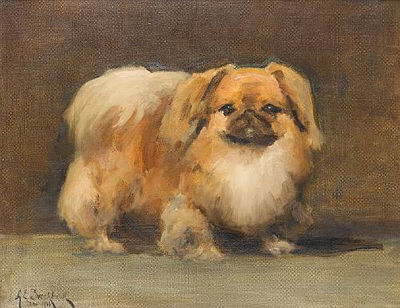 A Pekingese by Albert Ernest Brockbank - Auction record, sale price, and art valuation. Compare with similar artists and explore comparable artworks.