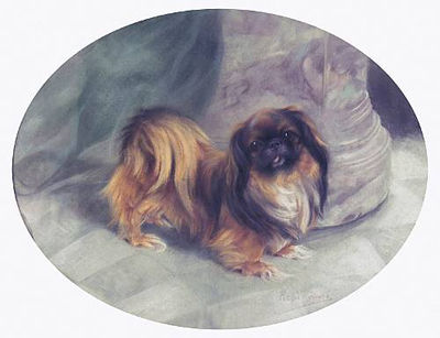 Sample artwork by Persis Kirmse (1884 - 1955), known for animal-cat & dog painting, illustration - View similar artists and auction records