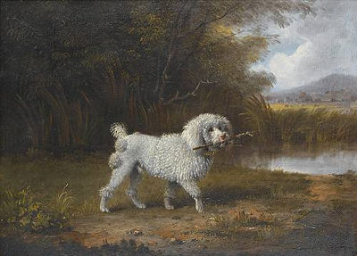 A Poodle in a Landscape
