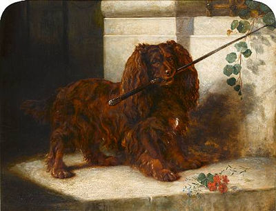 Waiting for mistress-a Ruby Spaniel with a cane