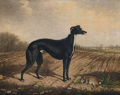 Portrait of the Celebrated Greyhound 'Master McGrath' by William Eddowes Turner - Auction record, sale price, and art valuation. Compare with similar artists and explore comparable artworks.