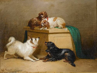 Suitors