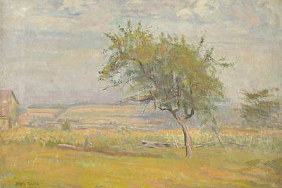 Springtime in the Countryside