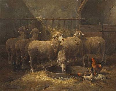 Sheep and chickens in a barn