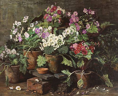A still life of African violets in a greenhouse