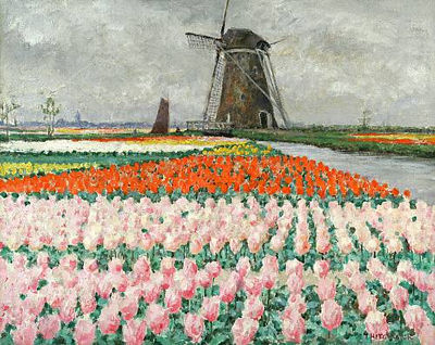 Pink Tulips