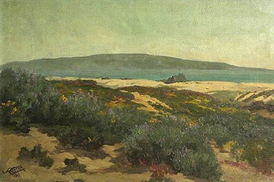 Lupine and sand dunes
