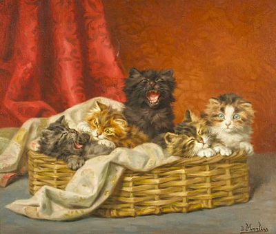 The little ones