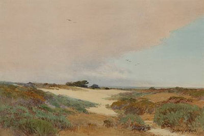A Path in Monterey