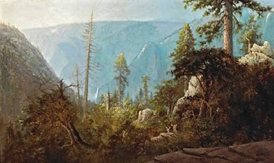 DEER IN AN EXPANSIVE LANDSCAPE, YOSEMITE