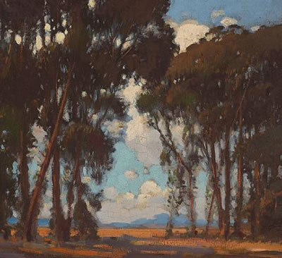 Clearing through the trees
