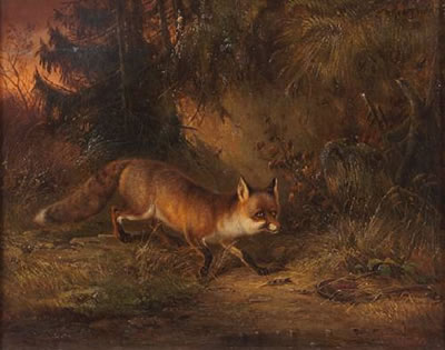 A FOX IN THE WOODS