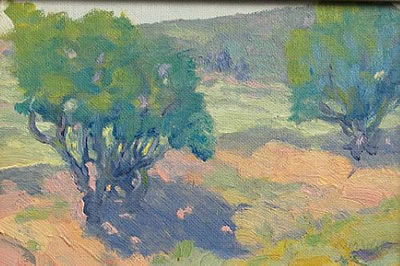 Trees on a sunlit hill