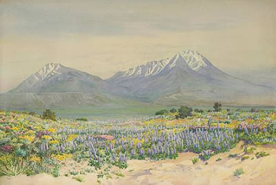 Spanish Peaks at Midday by George Elbert Burr - Auction record, sale price, and art valuation. Compare with similar artists and explore comparable artworks.