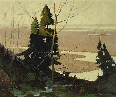 Turkey Point marshes