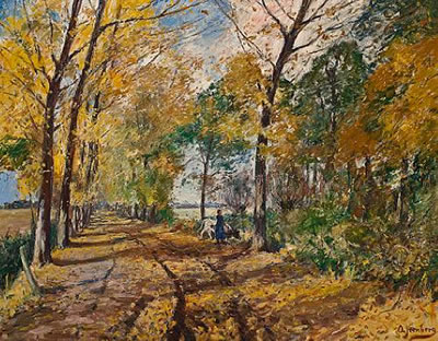 A path through the woods
