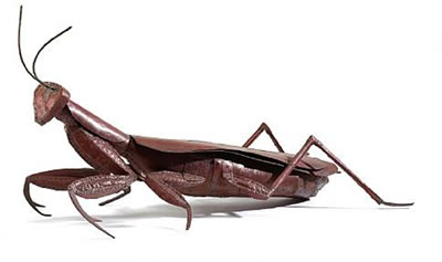 Preying mantis