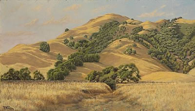 Marin hills