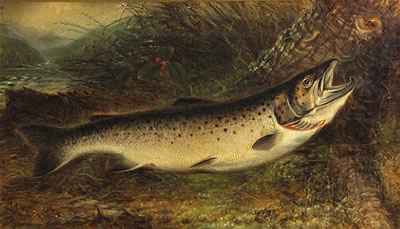 Trout on a river bank, 1877