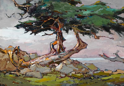 Coastal Cypress