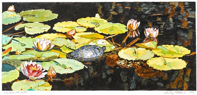 Lily Pond with Turtle