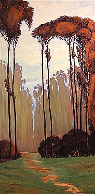 Path through a eucalyptus grove