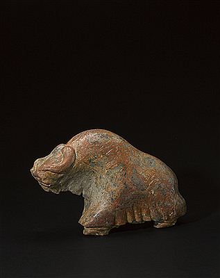 Musk ox