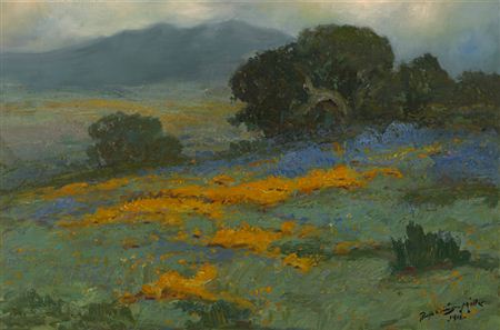 Poppies and lupine