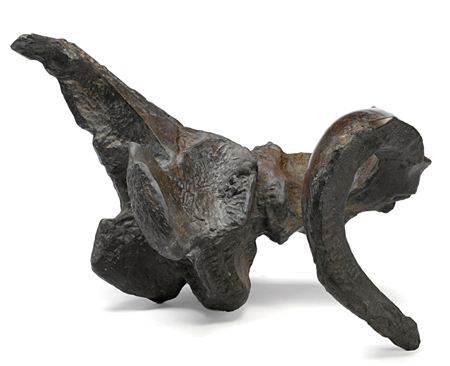 Ram Skull with Broken Horn IV, 1962