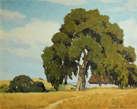 Oak tree by a country home