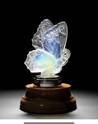 Papillon