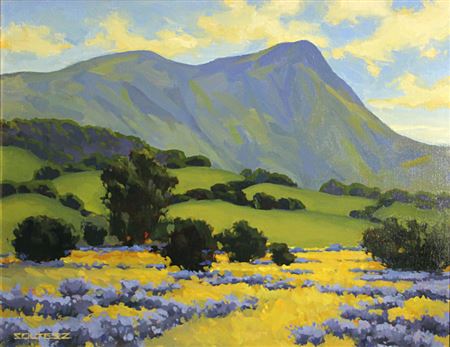 California wild flowers with mountains beyond