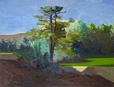 Large Park landscape