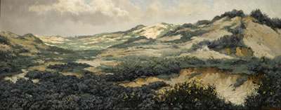 Dunes in sunlight and shadow